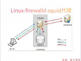 Linux-firewalld-squid正向代理